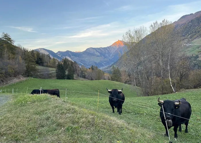 Grand Avec Terrasse à Chez-les-reuses