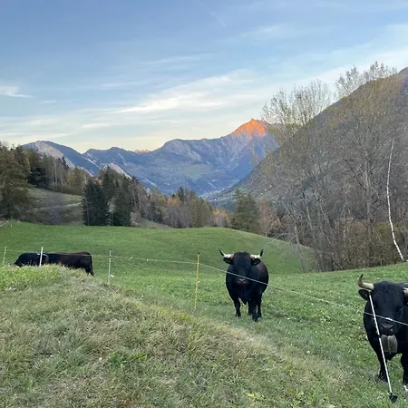 Grand Avec Terrasse à Chez-les-reuses